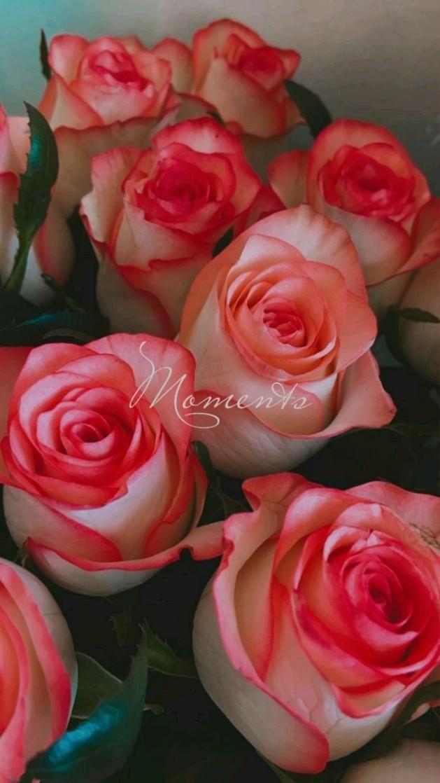 Professional floral arrangement in modern corporate setting